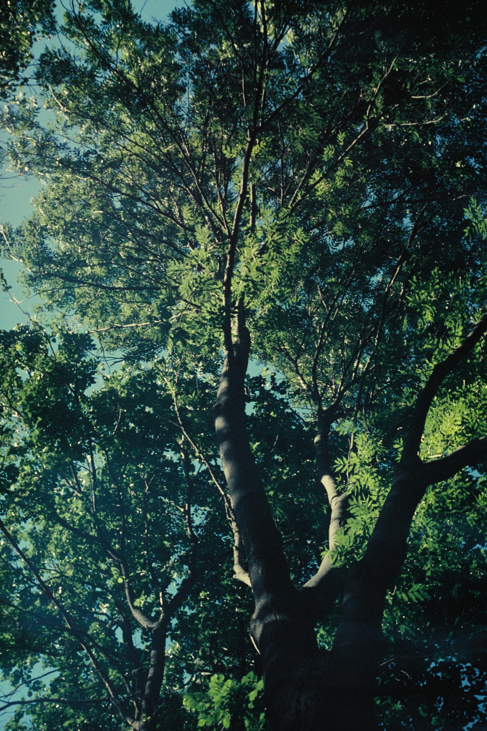 ysvoev-jtBptco0GWE-unsplash (1)