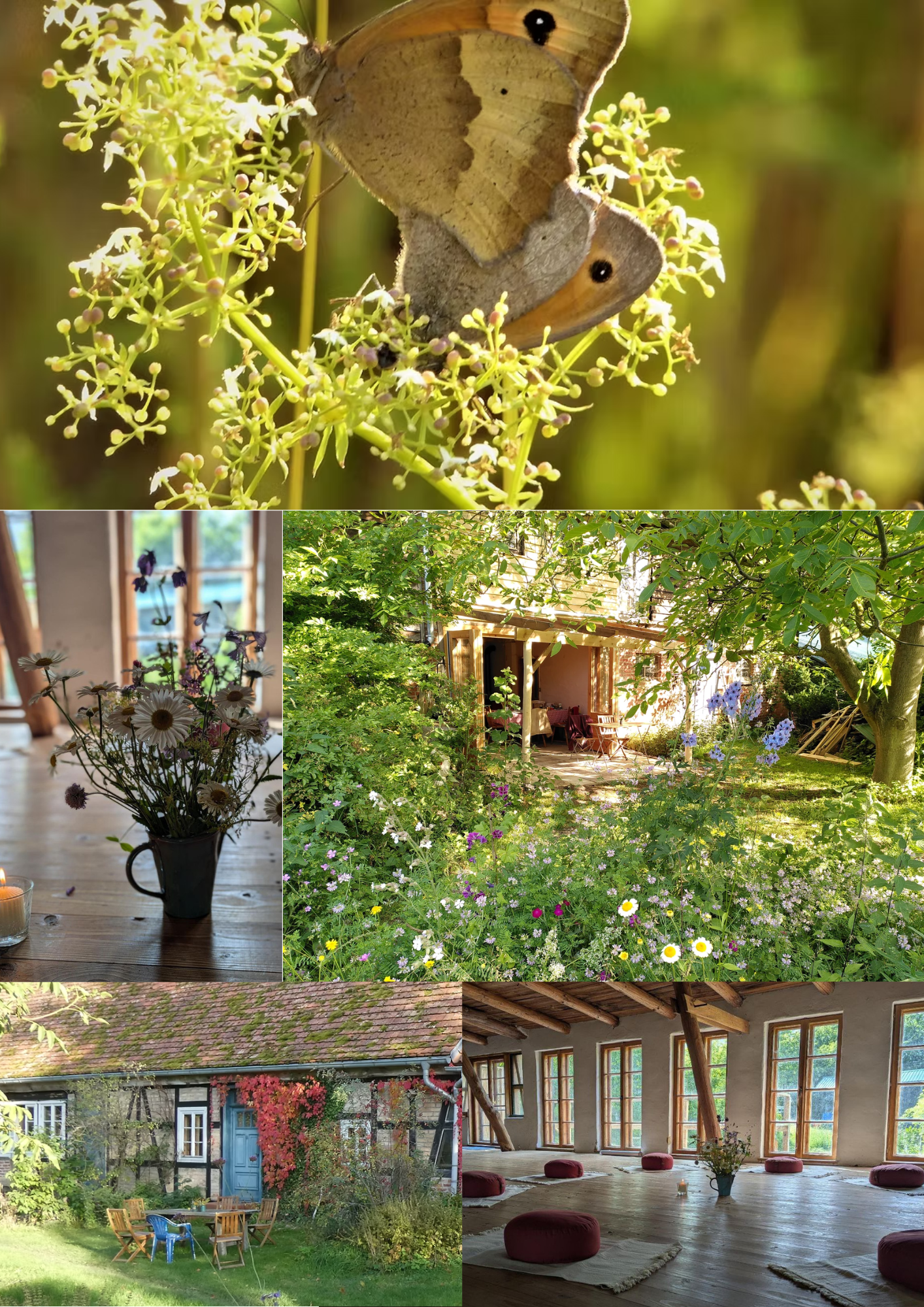 collage Amalienhof