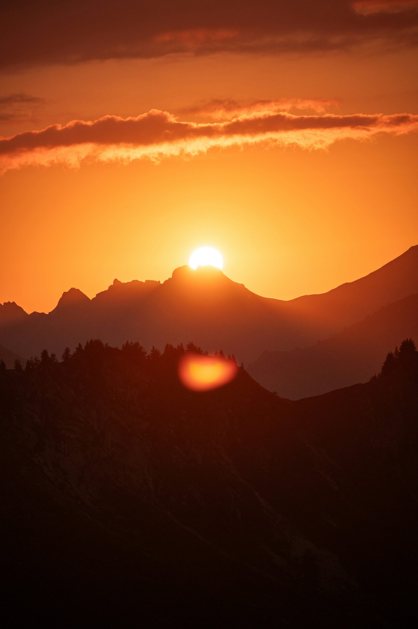 livia-JeeVgn9vOOE-unsplash